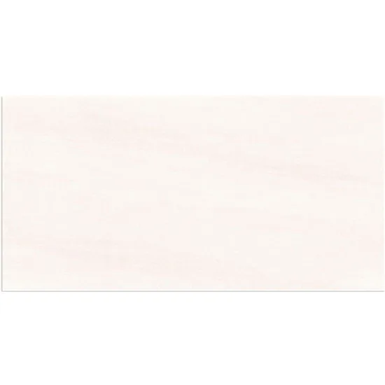 30x60 GS8.9973
