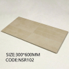 Gạch Trang Trí 30x60cm Trung Quốc NSR102