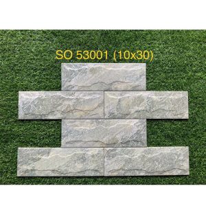 Gạch thẻ ngoại thất KT 10x30cm SO-53005