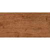 Gạch lát giả gỗ 30x60 RoyalCeramic VN3803