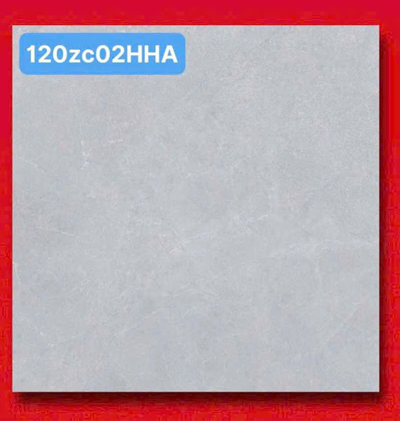 Gạch Ốp Lát 120x120cm Trung Quốc 120ZC97HHA