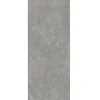 Gạch ốp tường 25x60 Đồng Tâm 2560LEAF002