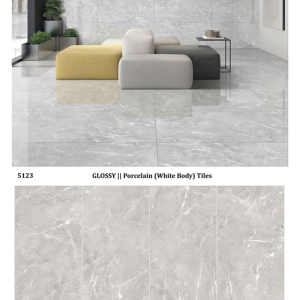 Gạch Ốp Lát 60x120cm Ấn Độ ASSOS GREY