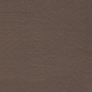 Gạch ốp lát 60×60 Taicera màu nâu đồng chất G68521