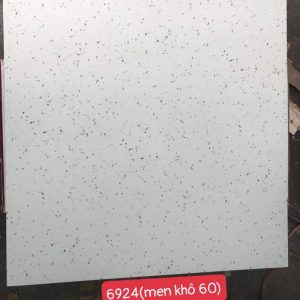 Gạch ốp lát 60×60 giả đá Granito-Terrazzo 6628 – 66202