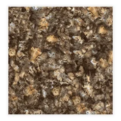 Gạch lát nền 80x80 Catalan 8024