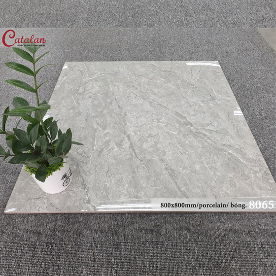 Gạch Ốp Lát 80x80 Catalan 8065