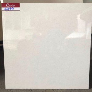 Gạch lát nền 60×60 Catalan 6119