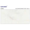 Gạch ốp tường 40x80 TTC Ceramic CB48002