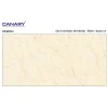 Gạch ốp tường 40x80 TTC Ceramic CB48004