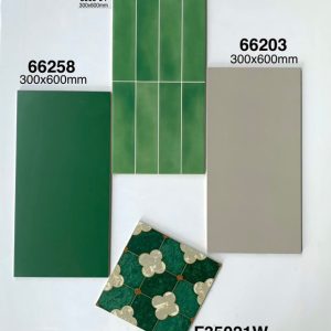 Gạch Ốp Lát Trung Quốc 30x60cm 66203