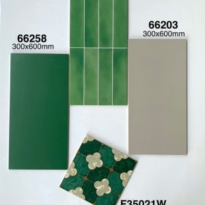 Gạch Ốp Lát Trung Quốc 30x60cm 66258