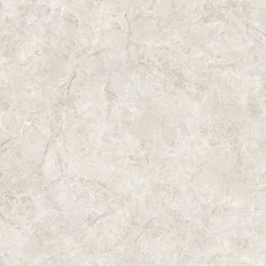 Gạch lát nền 60x60 TTC Ceramic CM66004-G