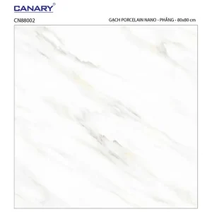 Gạch lát nền 80x80 TTC Ceramic CN88002