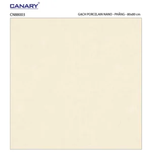 Gạch lát nền 80x80 TTC Ceramic CN88003