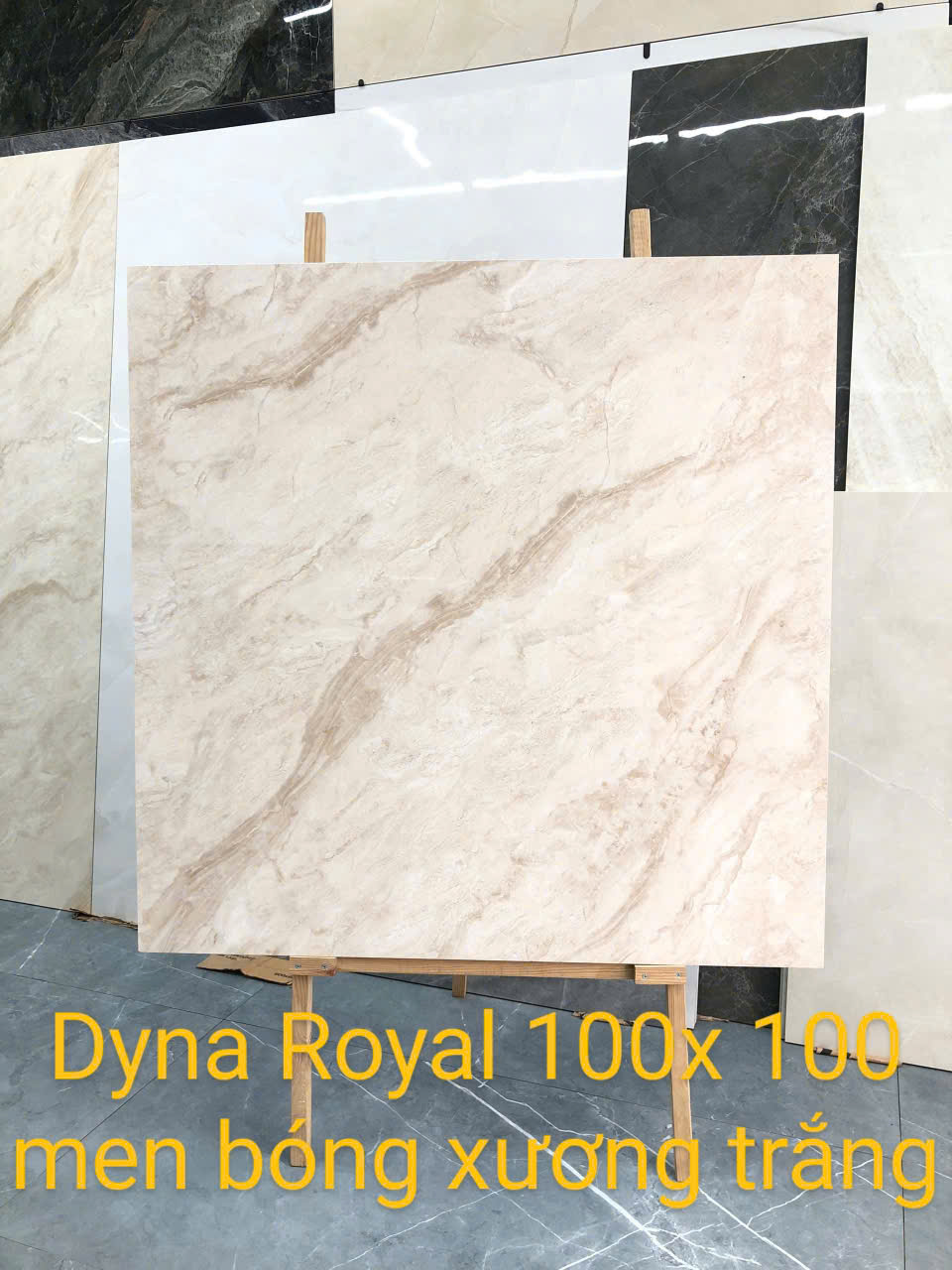 Gạch Ốp Lát 100x100cm Ấn Độ CORTECCIA