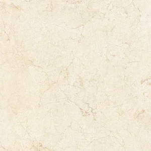 Gạch lát nền Viglacera 80x80 ECO-S821-621