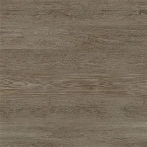 Gạch lát nền Viglacera 60x60 G6001