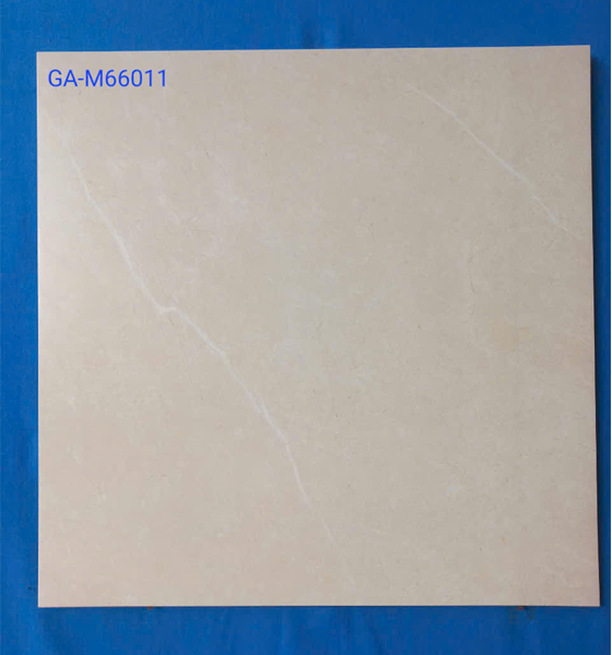 GA-M66011