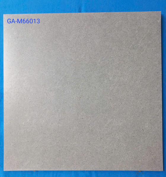 GA-M66013