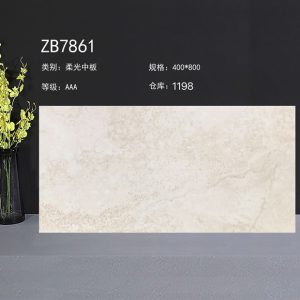 Gạch Ốp Lát 40x80 Trung Quốc ZB7861