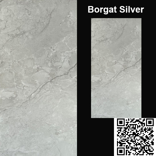 Gạch Ốp Lát 60x120cm Ấn Độ Borgat Silver