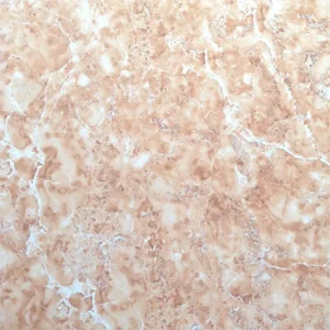 Gạch lát nền 60x60 Trung Quốc A603