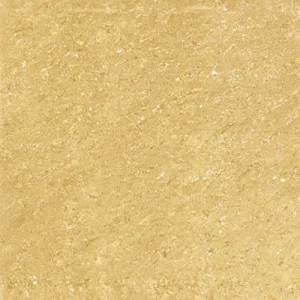 Gạch lát nền 60x60 Trung Quốc DN610