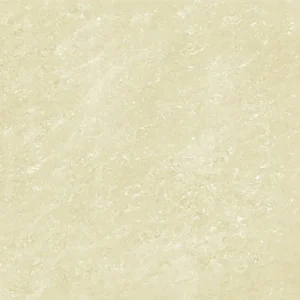 Gạch lát nền 60x60 Trung Quốc DN612