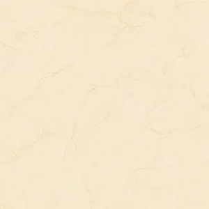 Gạch lát nền 80×80 TASA 8101