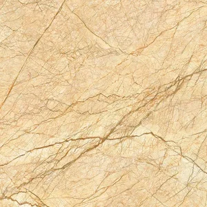 Gạch lát nền 80x80 TASA 8810