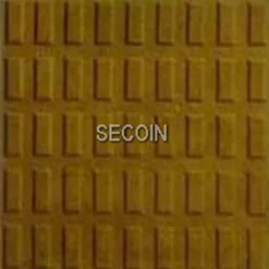 Gạch lát vỉa hè Secoin 25x25 OD-25-84