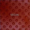 Gạch lát vỉa hè Secoin 30x30 OD-30-175