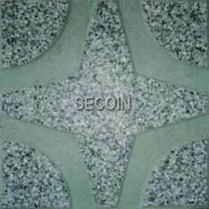 Gạch lát vỉa hè Secoin 30x30 OD-30-63