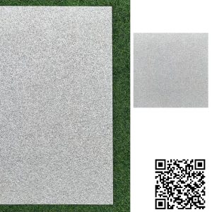 Gạch Ốp Lát 60x60 Trung Quốc 1566B03
