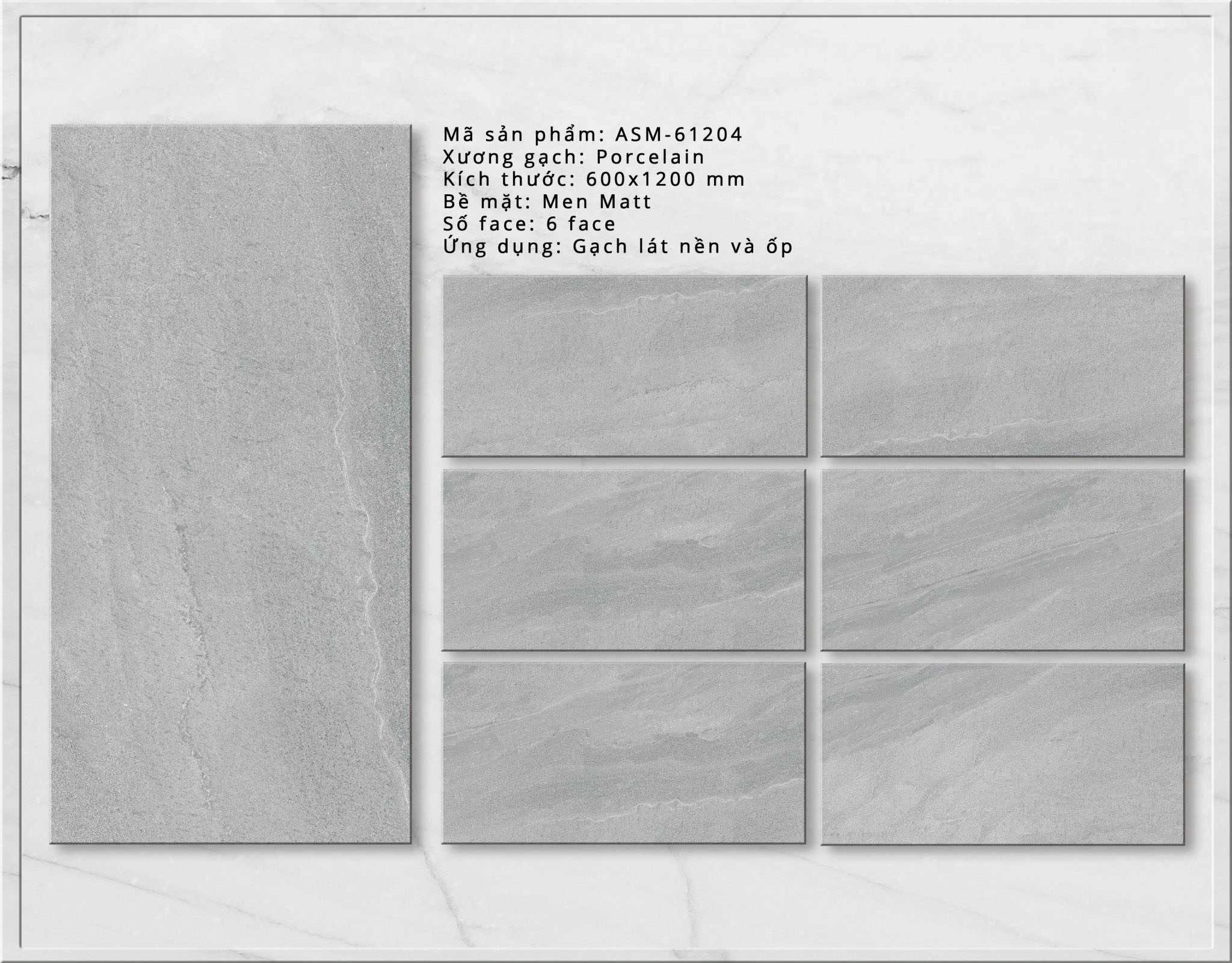 Gạch ốp lát Viglacera 60x120 ASM 61204