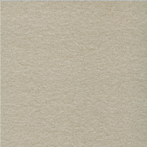 Gạch ốp lát 60×60 Taicera màu trắng sữa đồng chất G68522