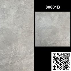 Gạch Ốp Lát Trung Quốc 80x80 80801B