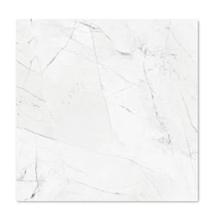Gạch ốp lát 60×60 vân đá đen trắng Taicera GP68905