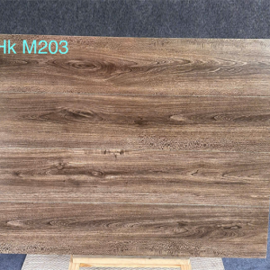 Gạch Ốp Lát 20x100cm Trung Quốc HkM203