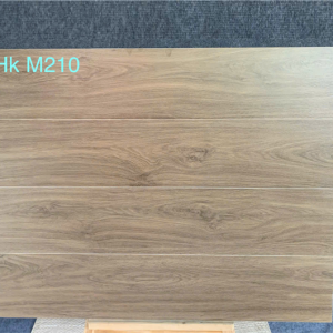 Gạch Ốp Lát 20x100cm Trung Quốc HkM203