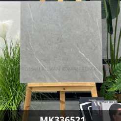 MK336521