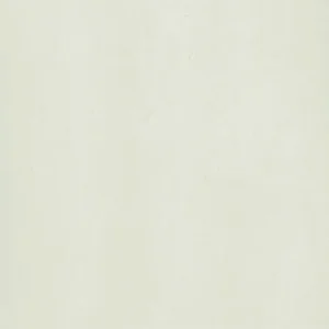 Gạch lát nền 60x60 Taicera P67312N