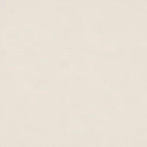 Gạch lát nền 60x60 Taicera P67542N