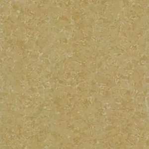 Gạch lát nền 60x60 Taicera P67771N