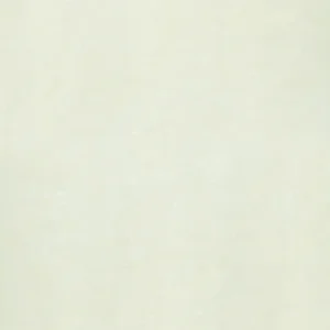 Gạch lát nền 80x80 Taicera P87703N