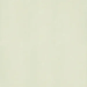 Gạch lát nền 80x80 Taicera P87763N