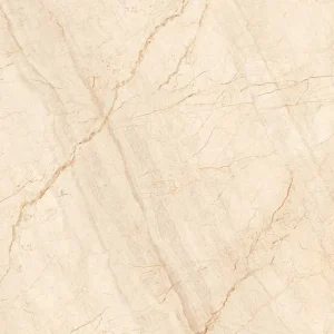 Gạch lát nền 80x80 TTC Ceramic PN88007
