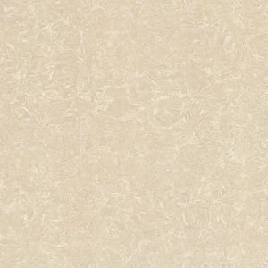 Gạch lát nền Viglacera 80x80 TS2-812