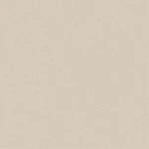 Gạch lát nền Viglacera 60x60 TS5-601